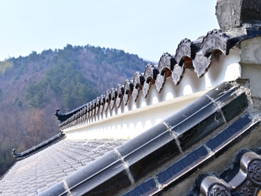 芜湖小克山茶园